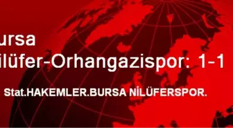 Bursa Nilüfer-Orhangazispor: 1-1