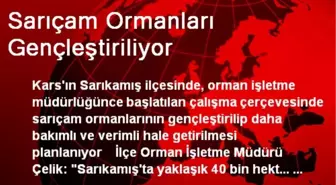 Sarıçam Ormanları Gençleştiriliyor