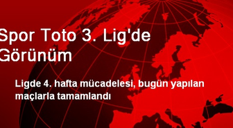 Spor Toto 3. Lig'de Görünüm