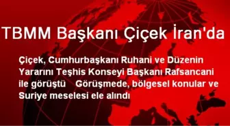 TBMM Başkanı Çiçek İran'da