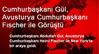 Cumhurbaşkanı Gül, Avusturya Cumhurbaşkanı Fıscher ile Görüştü