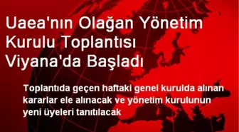 Uaea'nın Olağan Yönetim Kurulu Toplantısı Viyana'da Başladı