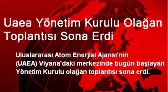 Uaea Yönetim Kurulu Olağan Toplantısı Sona Erdi