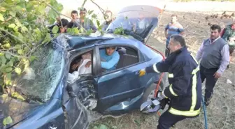 Otomobil Ağaca Çarptı, 2 Kişi Ağır Yaralandı