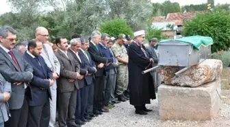 Ceviz Ağacından Düşen Şahıs Hayatını Kaybetti