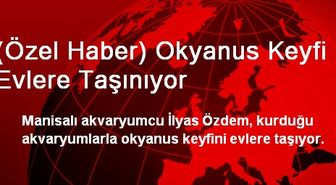 Okyanus Keyfi Evlere Taşınıyor