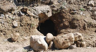 Bingöl M Tipi Cezaevi'nden Kaçan PKK'lılardan 17'si Yakalandı