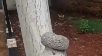 Jandarmadan Tarihi Eser Operasyonu