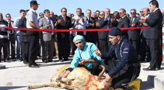 Konya ve Çumra Şeker'de Pancar Alımı Başladı