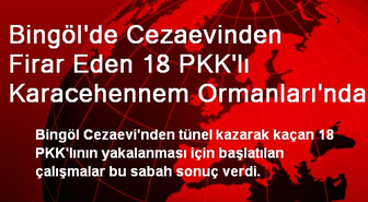 Bingöl'de Cezaevinden Firar Eden 18 PKK'lı Karacehennem Ormanları'nda Yakalandı(2)