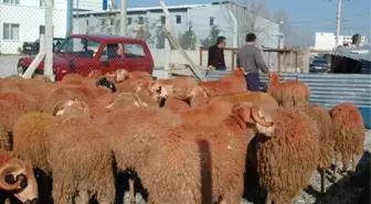 Kurban Kesim Yerleri Belli Oldu