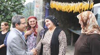 Vali Cirit, Hopa ve Borçka'da İncelemelerde Bulundu