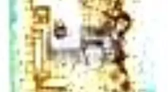 100 Soruda Türk Folkloru Kitabı