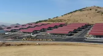 Altındağ Belediyesi'nin Kurban Satış ve Kesim Merkezi Tertemiz