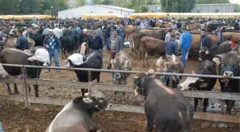 Tokat'ta Kurban Kesim ve Satış Yerleri Belirlendi