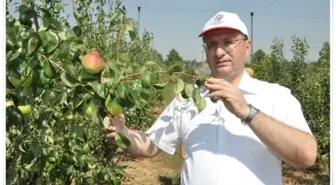 Keşan'ın Meyveci Kaymakamı