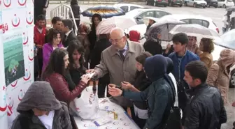 Sağlıklı Yaşam İçin Yürüdüler