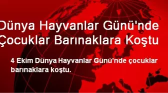 Dünya Hayvanlar Günü'nde Çocuklar Barınaklara Koştu