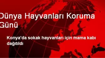 Dünya Hayvanları Koruma Günü