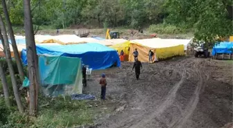 Tokat'ta Kurbanlıklar Görücüye Çıktı