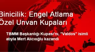 Binicilik: Engel Atlama Özel Unvan Kupaları