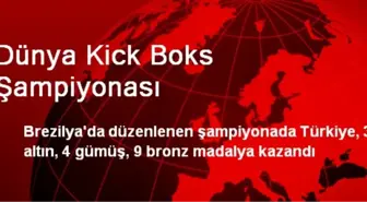 Dünya Kick Boks Şampiyonası