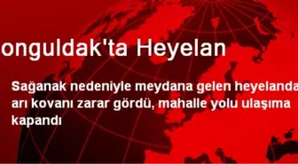 Zonguldak'ta Heyelan