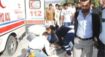 Adana'da Trafik Kazası : 15 Yaralı