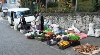 İskebe'de Halk Pazarı Kuruldu