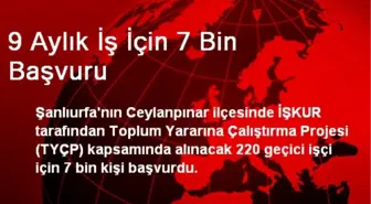 9 Aylık İş İçin 7 Bin Başvuru