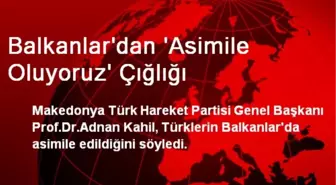 Balkanlar'dan 'Asimile Oluyoruz' Çığlığı