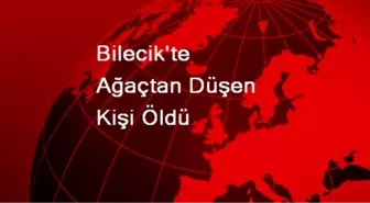 Bilecik'te Ağaçtan Düşen Kişi Öldü