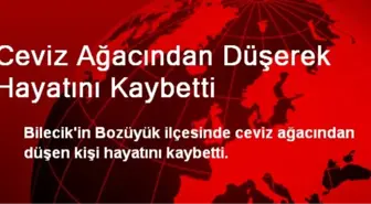 Ceviz Ağacından Düşerek Hayatını Kaybetti