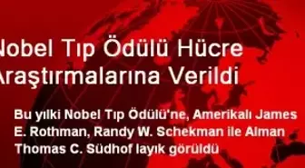 Nobel Tıp Ödülü Hücre Araştırmalarına Verildi