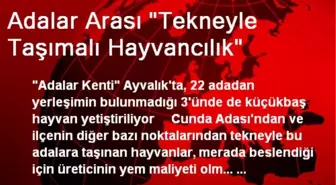 Adalar Arası 'Tekneyle Taşımalı Hayvancılık'