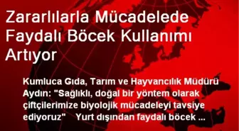 Zararlılarla Mücadelede Faydalı Böcek Kullanımı Artıyor