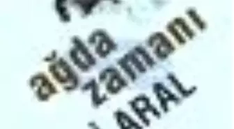 Ağda Zamanı Kitabı
