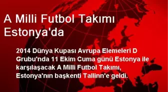 A Milli Futbol Takımı Estonya'da