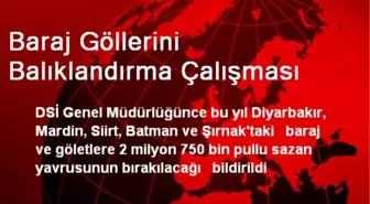 Baraj Göllerini Balıklandırma Çalışması