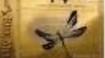 Risk Mevsimi Kitabı