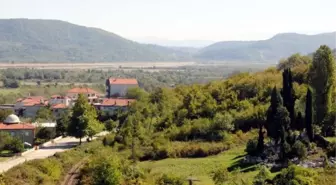 Sanayi Tesisleri Kurulacak Filyos'ta Kuşların Yaşam Alanına Koruma