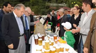 Akbaba Kestane Balı Festivali Beykozluları Buluşturdu