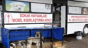 Hayvanlara Mobil Kısırlaştırma