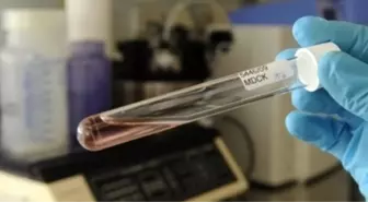 Ortadoğu'da 'Corona Virüsü'