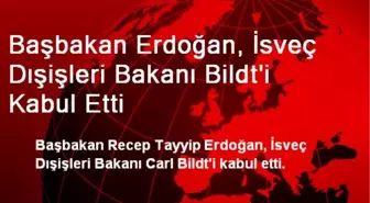 Başbakan Erdoğan, İsveç Dışişleri Bakanı Bildt'i Kabul Etti