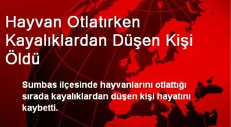 Hayvan Otlatırken Kayalıklardan Düşen Kişi Öldü