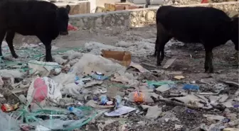 Silvan'da Vatandaşların Çöp Tepkisi
