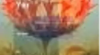 Ateşin Düştüğü Yer Kitabı