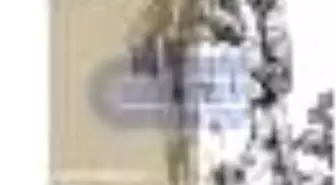 Dersim Raporları Kitabı