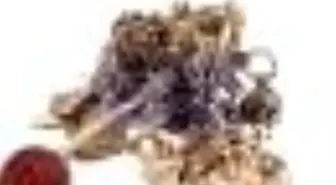 Keşkül Dergisi Sayı: 28 Kitabı Çıktı